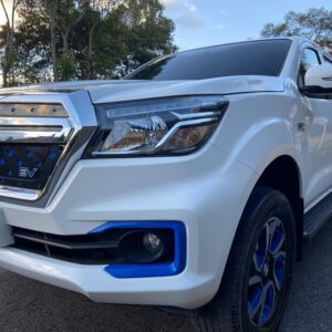 DONGFENG RICH 6 EV  2023  100% ELECTRICA