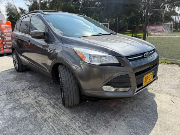 WhatsApp Image 2026-03-14 at 7.02.54 PM (2)